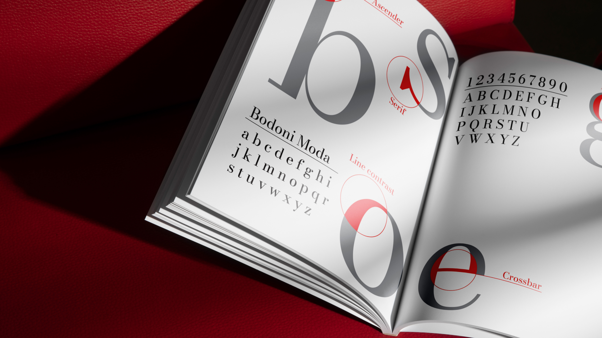 Bodoni 4